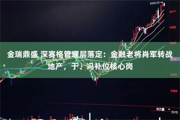 金瑞鼎盛 深赛格管理层落定：金融老将肖军转战地产，于、冯补位核心岗