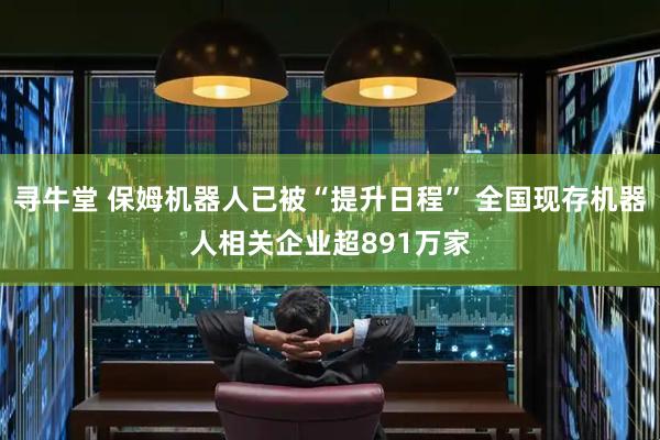 寻牛堂 保姆机器人已被“提升日程” 全国现存机器人相关企业超891万家